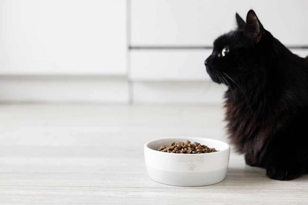 Ceramic Paws off Cat Bowl, Holds 1.3 Cups, Whisker-Friendly Pet Dish for Food and Water, Microwave and Dishwasher Safe, Small