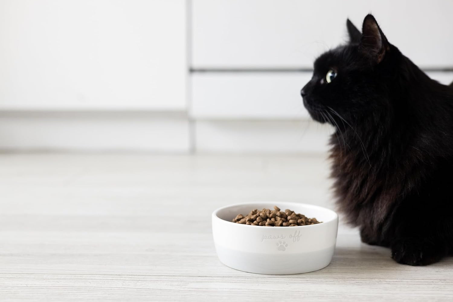 Ceramic Paws off Cat Bowl, Holds 1.3 Cups, Whisker-Friendly Pet Dish for Food and Water, Microwave and Dishwasher Safe, Small