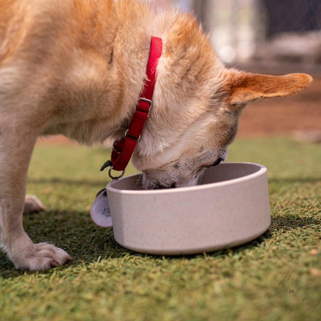 Loving Pets Dolce Bamboo Dog Bowl - Eco-Friendly Food & Water Dish, Medium