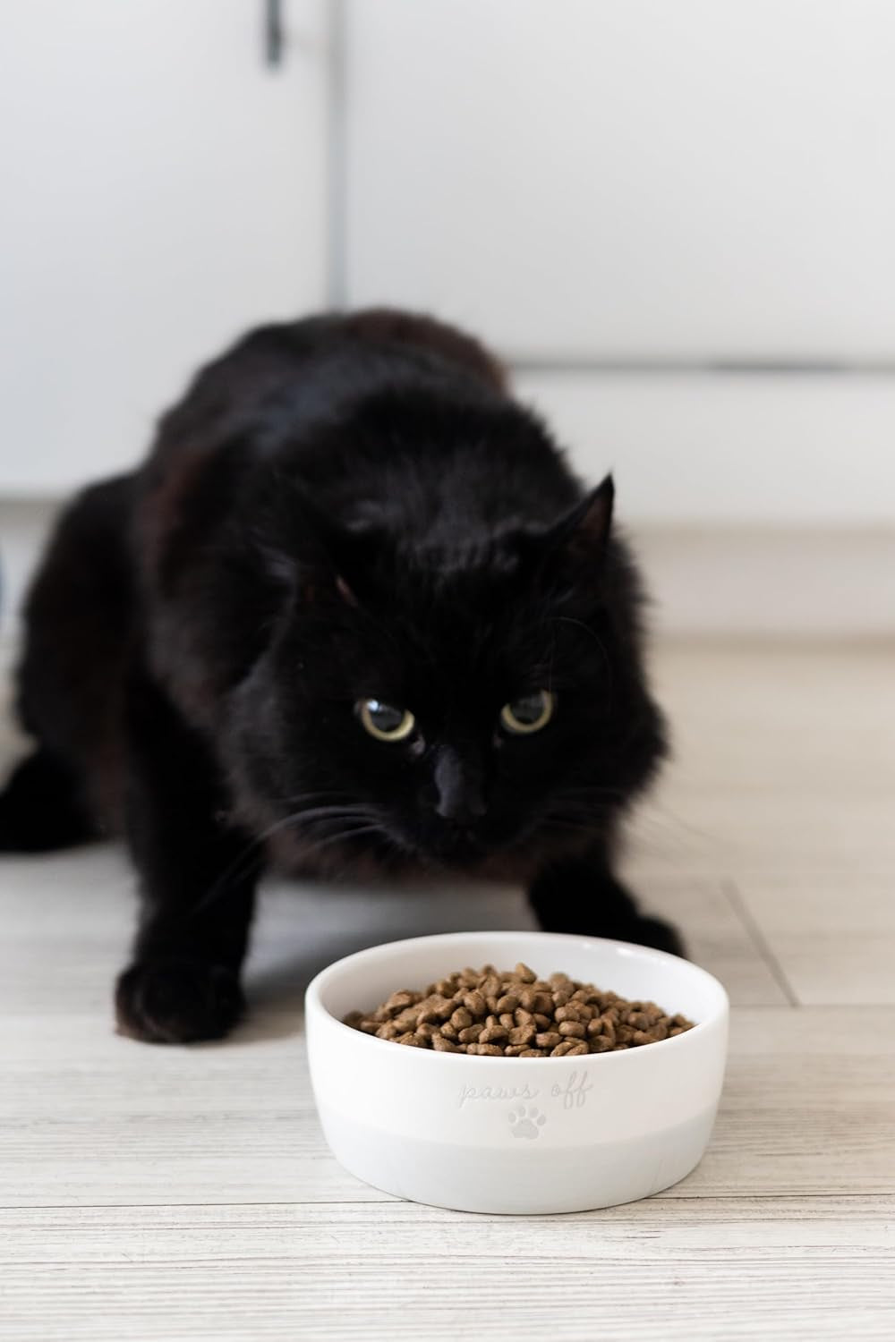 Ceramic Paws off Cat Bowl, Holds 1.3 Cups, Whisker-Friendly Pet Dish for Food and Water, Microwave and Dishwasher Safe, Small