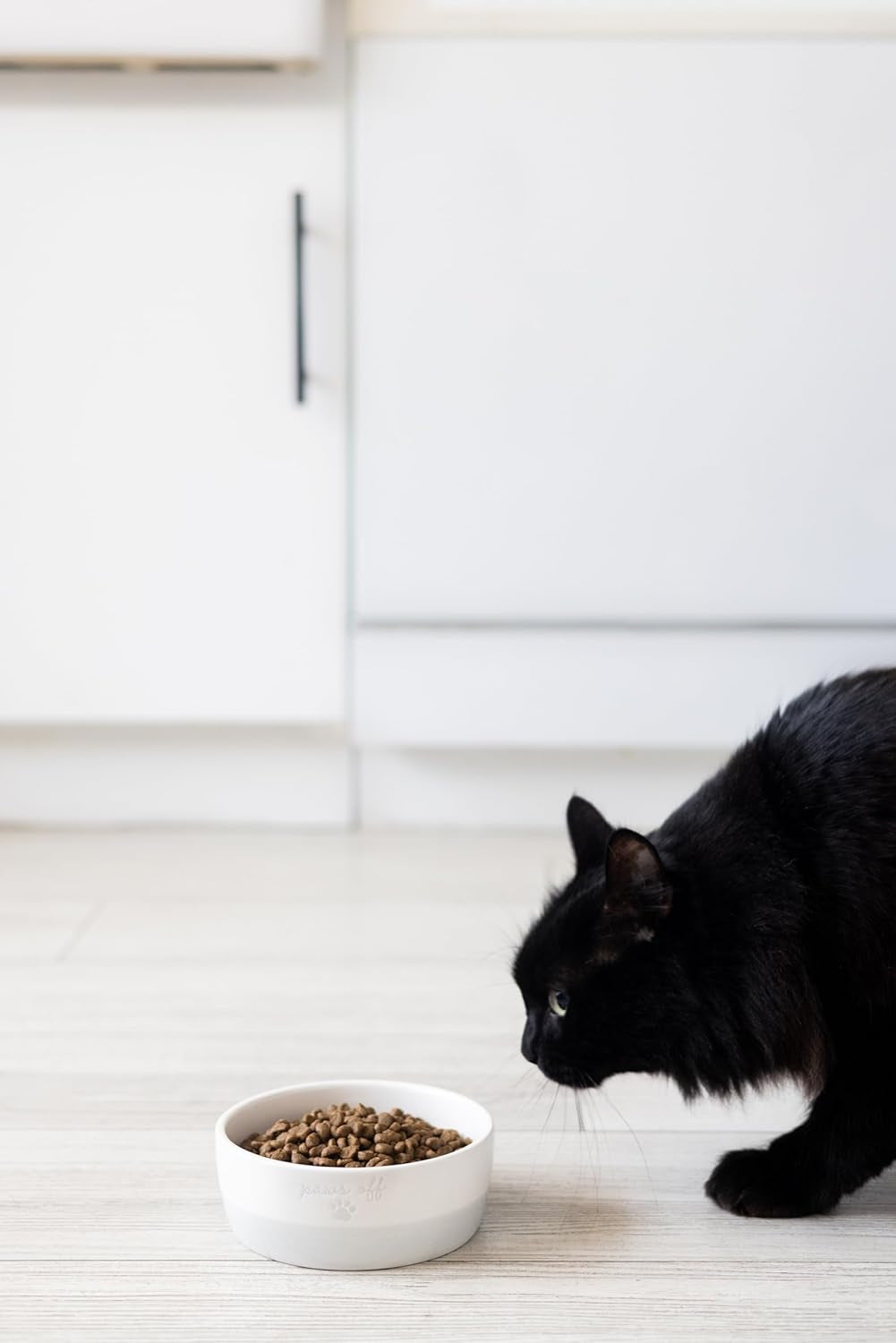 Ceramic Paws off Cat Bowl, Holds 1.3 Cups, Whisker-Friendly Pet Dish for Food and Water, Microwave and Dishwasher Safe, Small