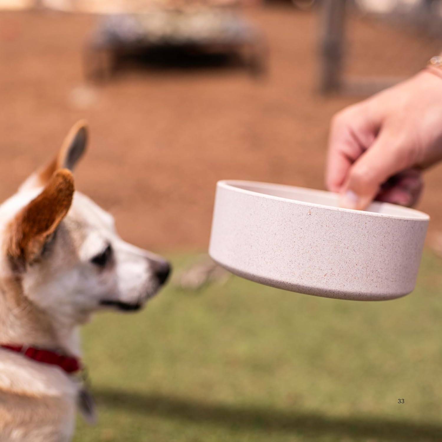 Loving Pets Dolce Bamboo Dog Bowl - Eco-Friendly Food & Water Dish, Medium